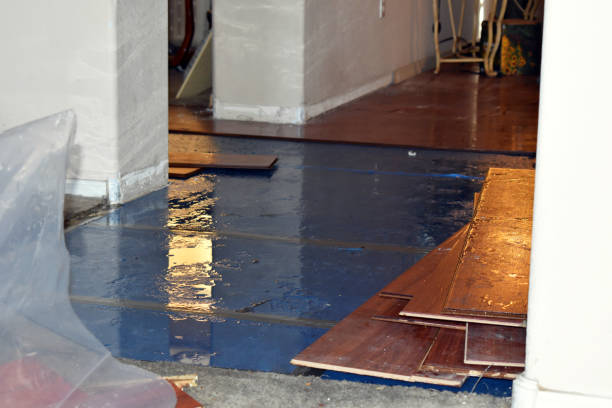 Professional Basement Flood Cleanup technician working in Menasha, WI